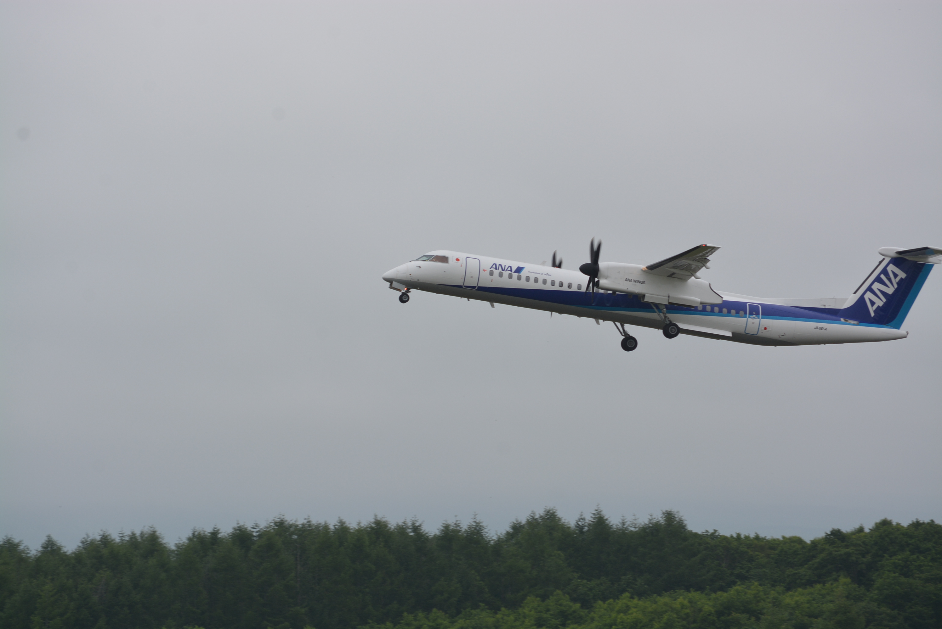 http://www.nakashibetsu-airport.jp/DSC_3843.JPG