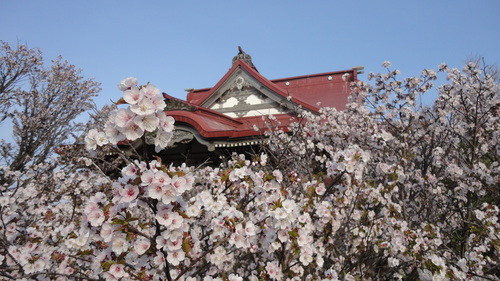 清隆寺５.JPG