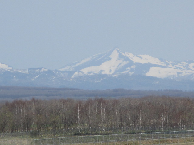 http://www.nakashibetsu-airport.jp/mikaeru.JPG