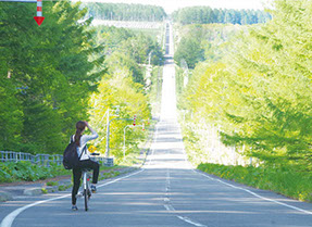 http://www.nakashibetsu-airport.jp/top_photo_0004287x209.jpg